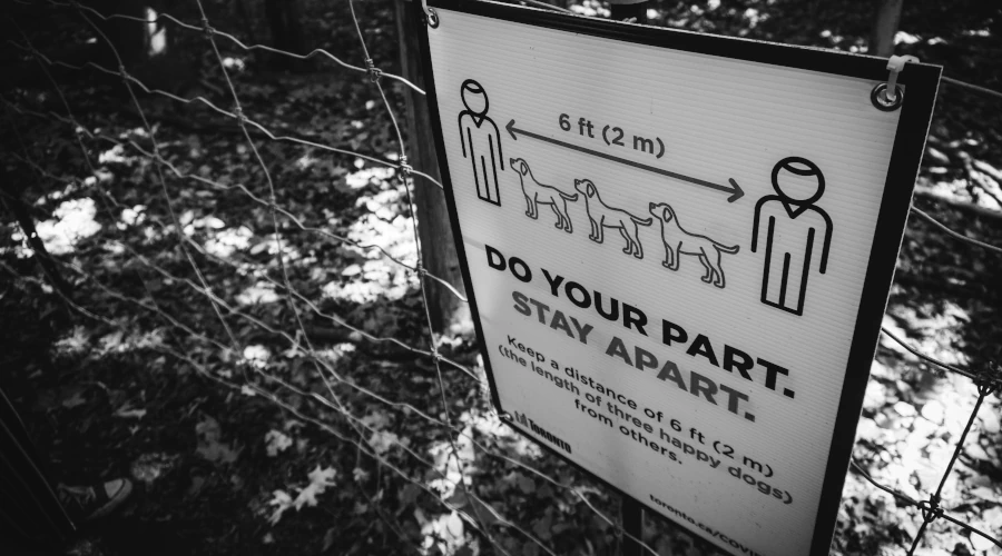 OpenGraph - Denis Umpleby (Unsplash / yoZJHLH7uw8)